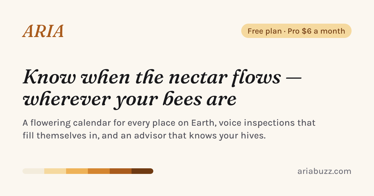 I built ARIA – a free map that shows when bees have nectar, anywhere in the world